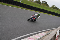 Lower Group Multicolour Bikes